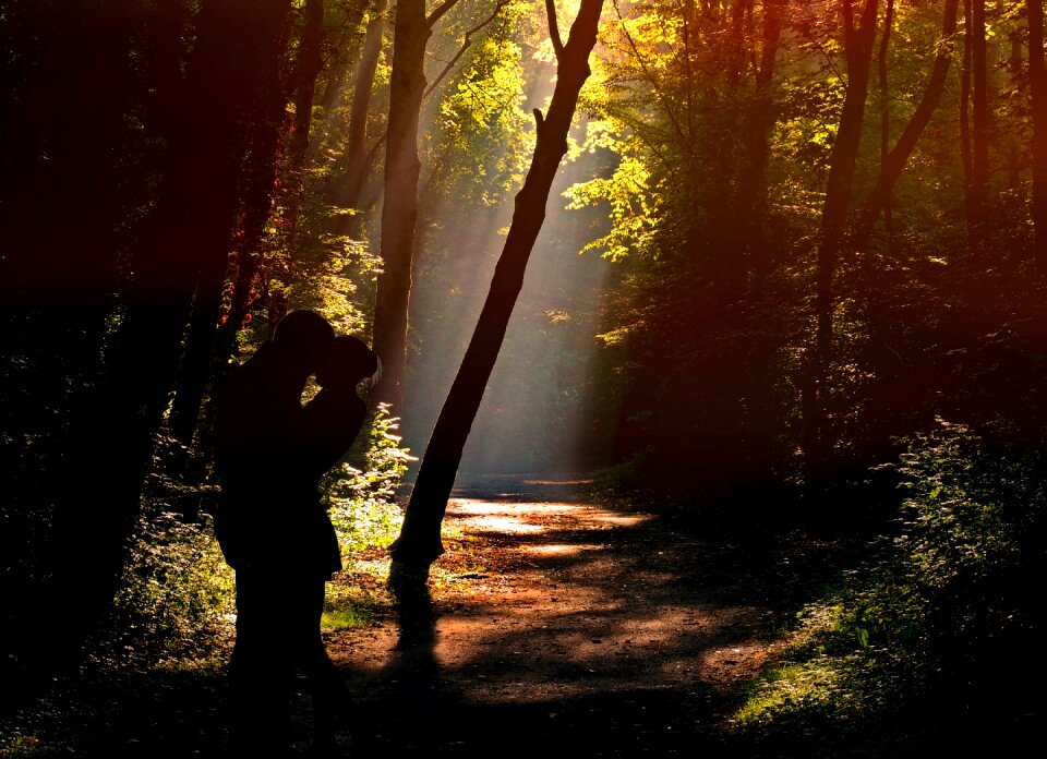 Romance sunlight incidence of light