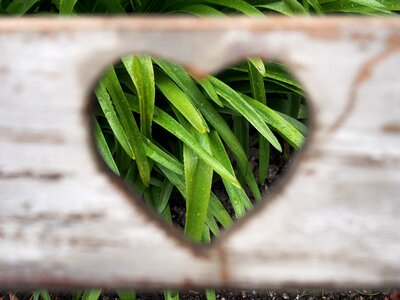Romance lover passion