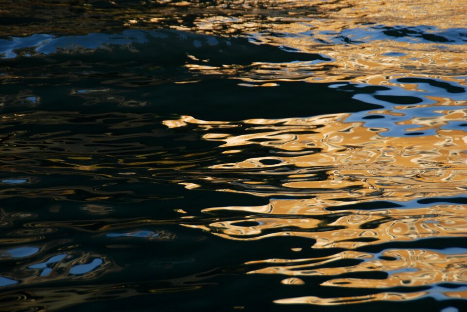 Dormant venice surface