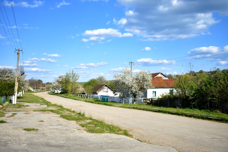 Павлівка_14
