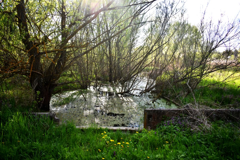 Павлівка_20
