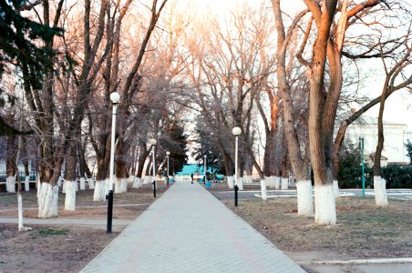 Лиман,_Астраханская_область_2020-02_2