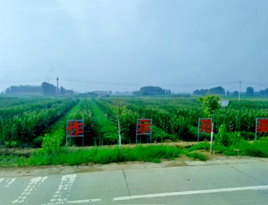 安驾庄镇农业合作示范基地