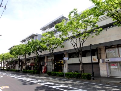 坂出人工土地_11