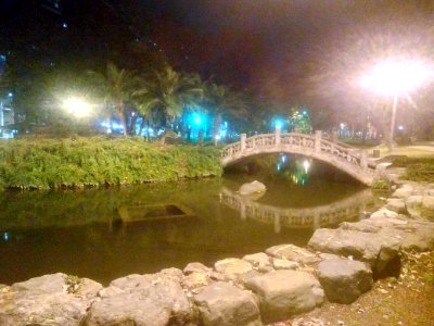 嘉義公園の夜20180213 photo