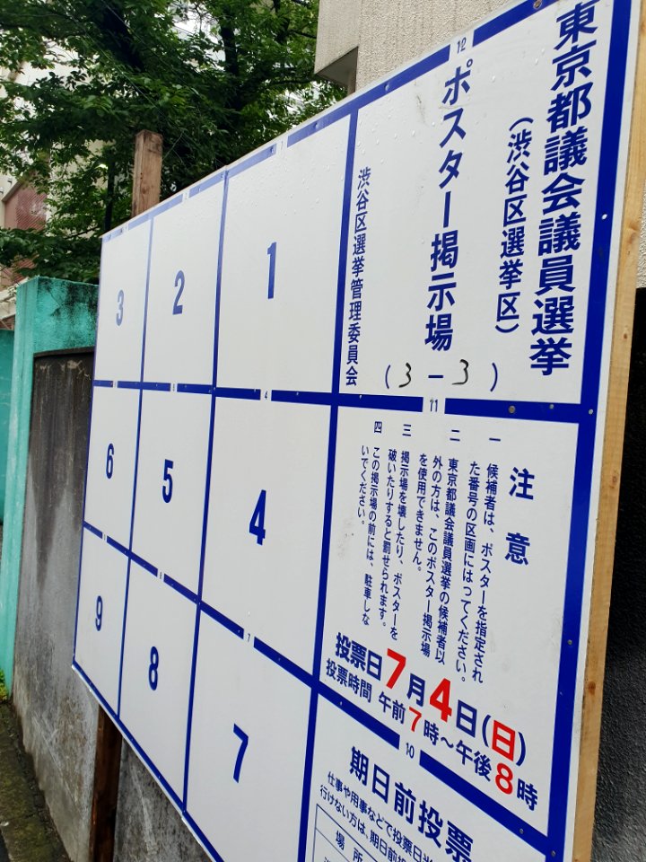 東京都議会議員選挙
