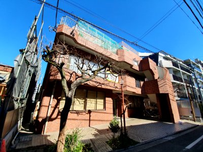 東京和服染色美術專門學校