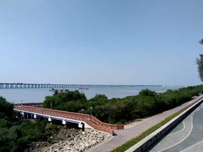 宝安西湾红树林公园_4