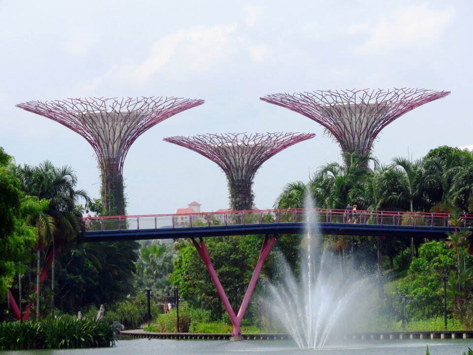Tourism garden asia