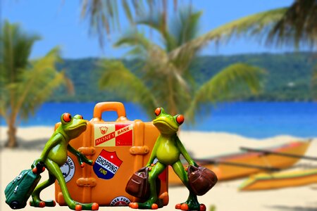 Beach frog funny photo