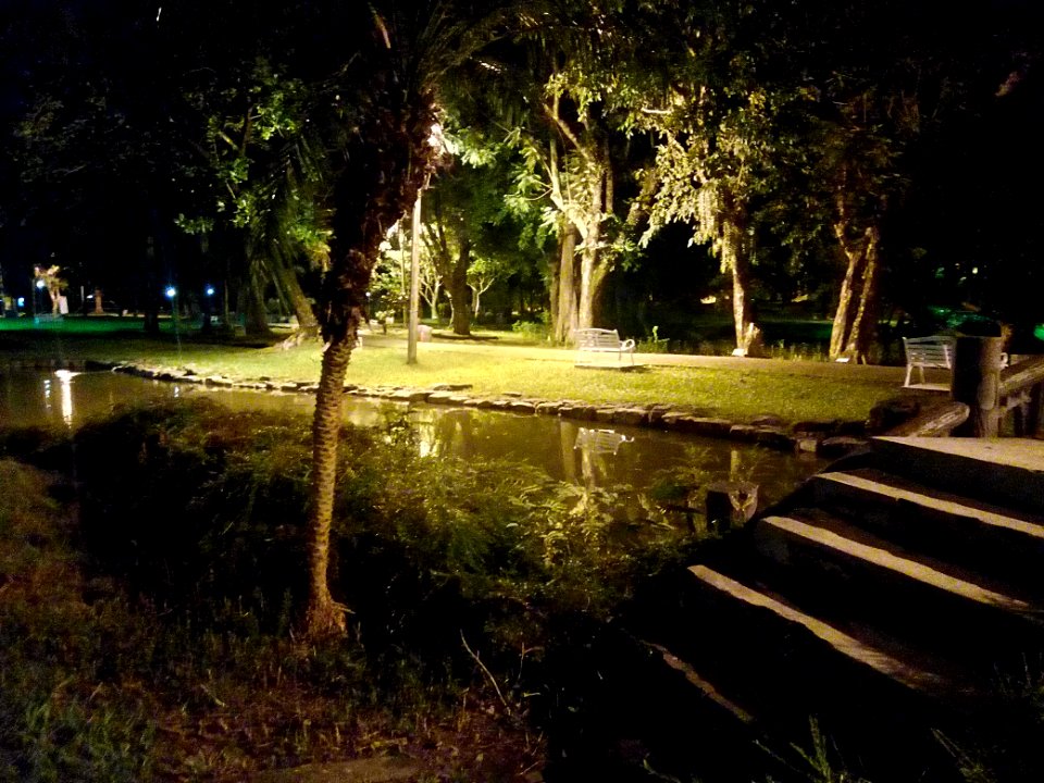 嘉義公園小西湖夜景20180827