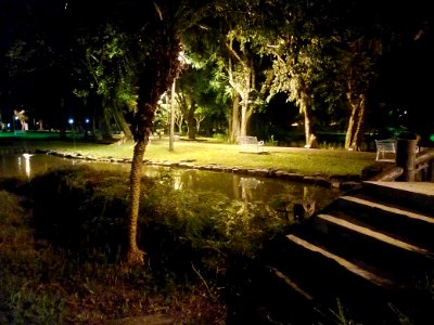 嘉義公園小西湖夜景20180827