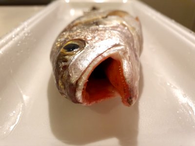 イシモチ_口