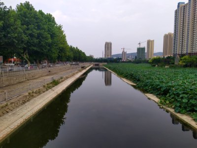 北京湾北的荷花_02