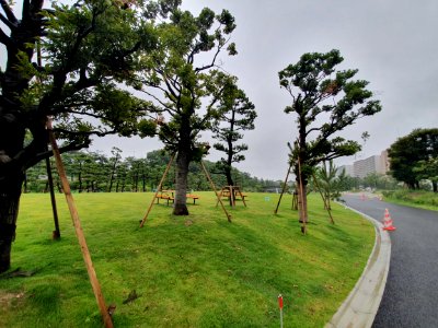 しながわ区民公園
