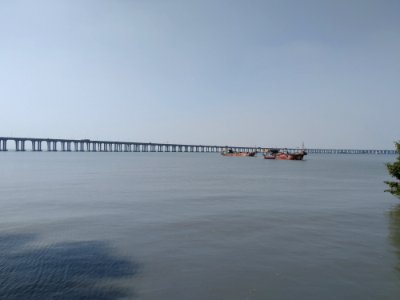 宝安西湾红树林公园_3