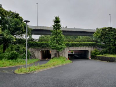 しながわ区民公園_2