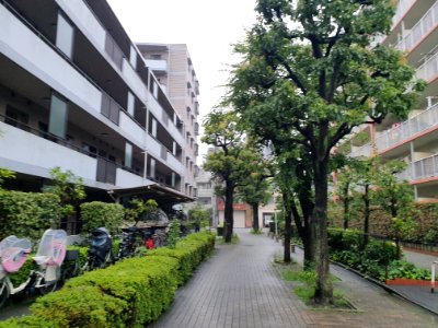しながわ区民公園_11