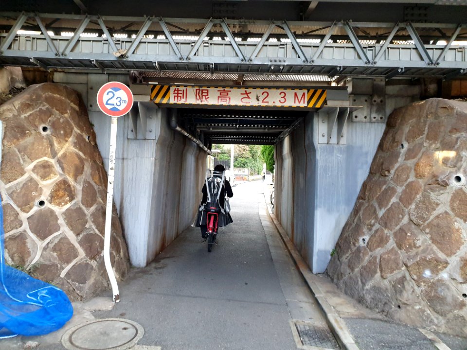 代々木周辺の建物_4
