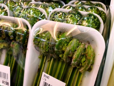 スーパーで秋田産こごみ