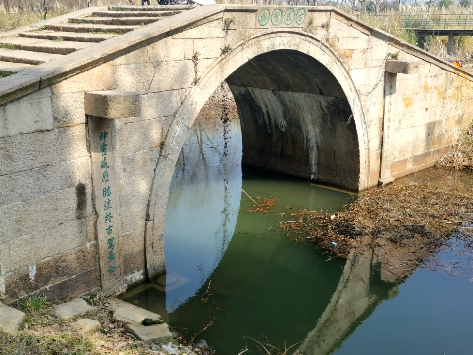 贡湖湾湿地公园_张桥