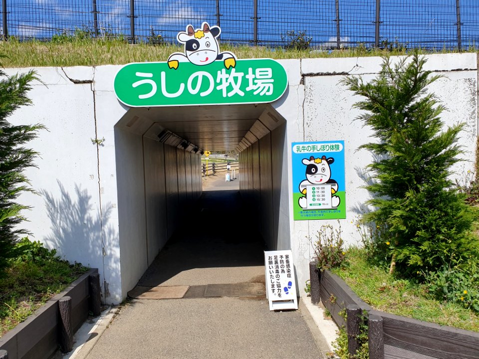 マザー牧場の牛_入口