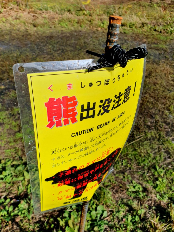 一本杉スキー場（秋、晴れ）_5