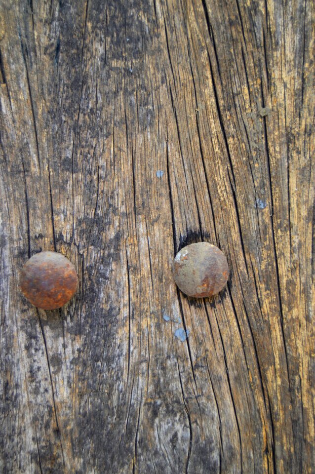 Pattern timber brown