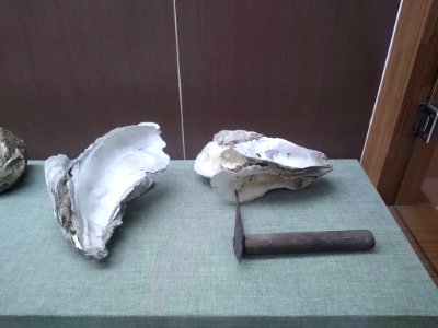 深圳（宝安）劳务工博物馆_6