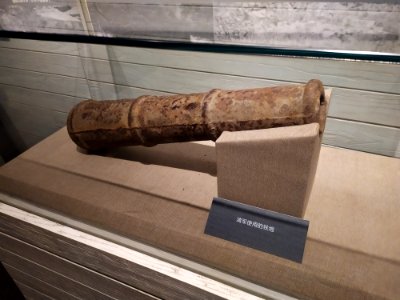 清军使用的铁炮