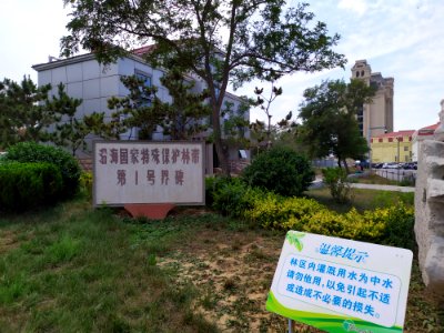 金沙滩公园_沿海第一保护林带
