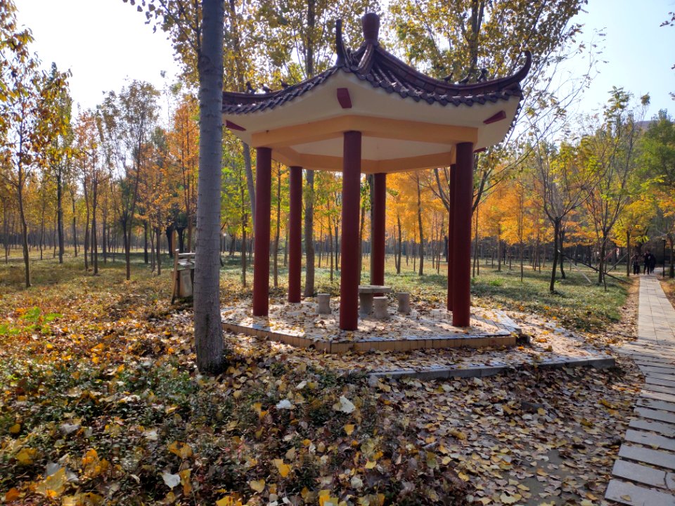 潍坊学院_风景_01