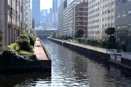 新芝運河