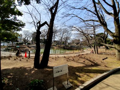文庫の森