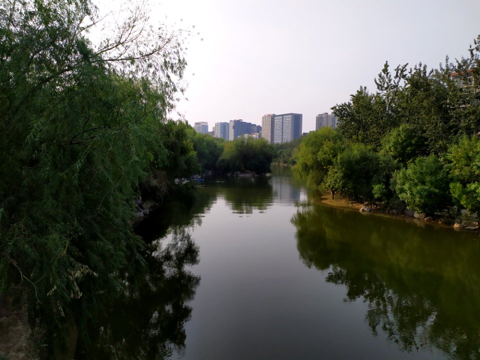 虞河