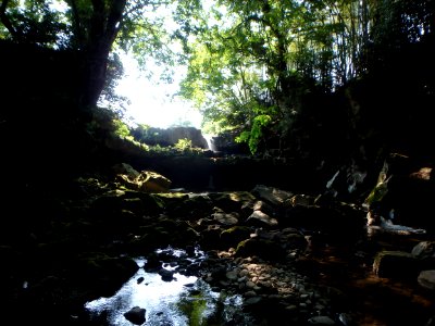 滝壺から見た二段滝（2019年5月）