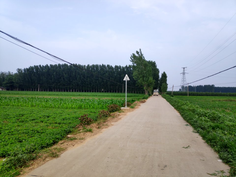 彭集街道一处乡道_03