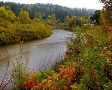 У_природы_нет_плохой_погоды_(250257579)