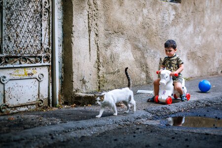 Child street cat photo
