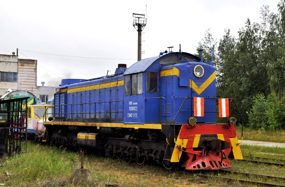 ТЭМ1-1775,_Россия,_Ленинградская_область,_станция_Калище_(Trainpix_168648)