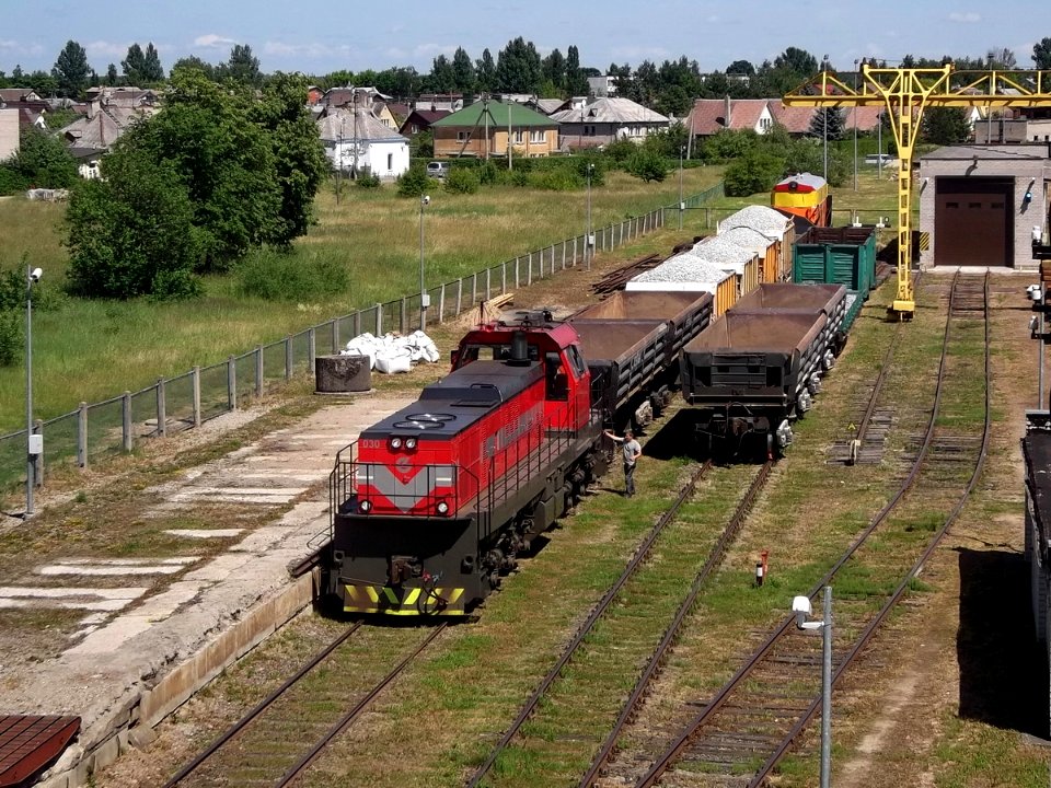 ТЭМ-ТМХ-030,_Литва,_Паневежский_уезд,_станция_Паневежис_(Trainpix_102155)