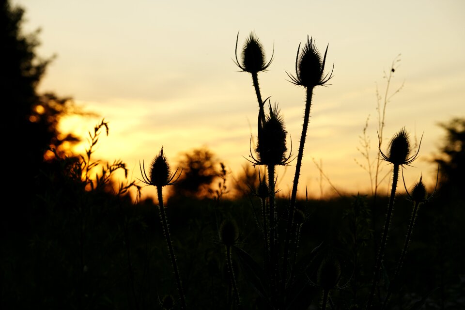 Mood sky dusk