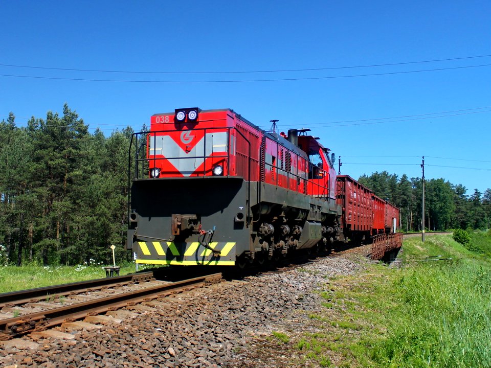 ТЭМ-ТМХ-038,_Литва,_Вильнюс,_перегон_Панеряй_-_Вайдотай_(Trainpix_134432)