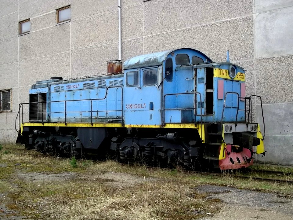 ТГМ4-2855,_Литва,_Вильнюс,_подъездной_путь_от_станции_Панеряй_(Trainpix_193580)