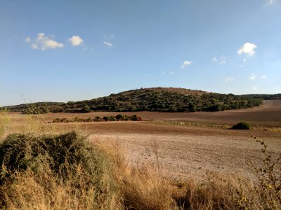 לבנין