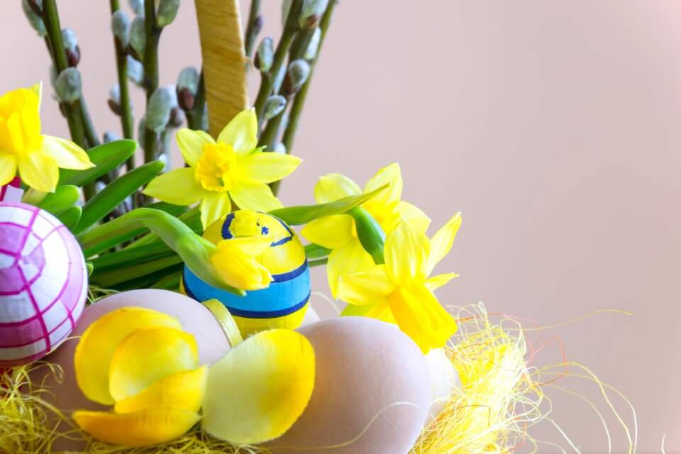 The background decoration colored