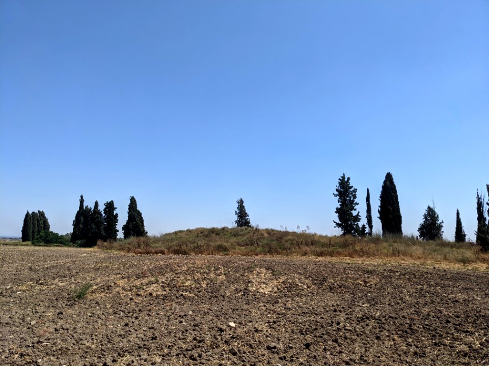 שכרונה2
