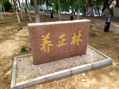 养正林
