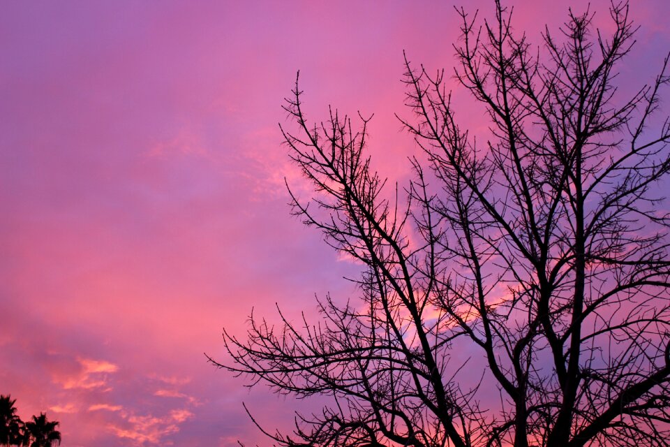 Scenic clouds sunset