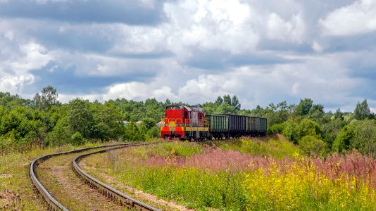 ЧМЭ3-1334,_Russia,_Smolensk_region,_branch_line_of_Vyazemsky_crushed_stone_plant_(Trainpix_177117)